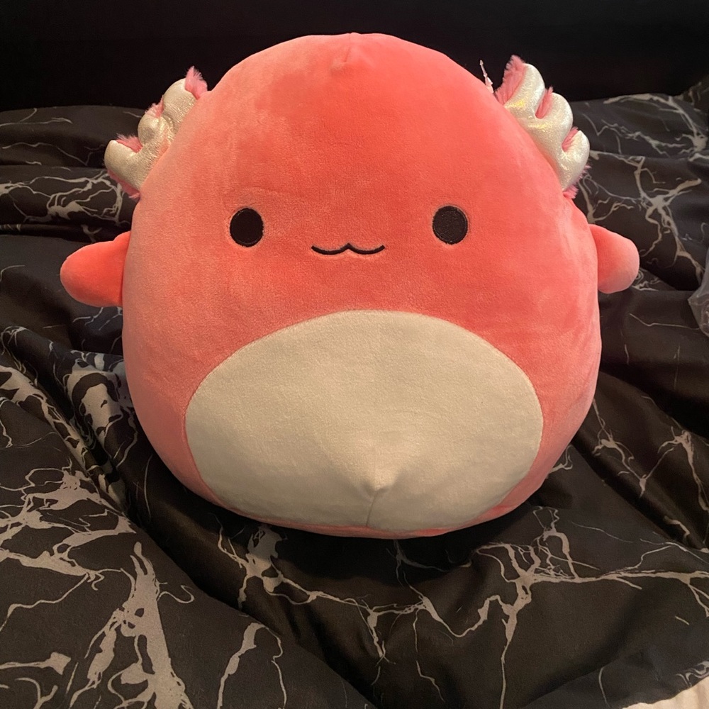Squishmallow (Archie) 💗